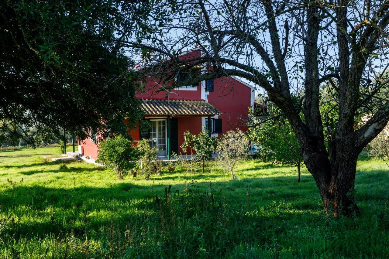 Fridas Place Halikounas Luaran gambar